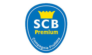 scb-premium